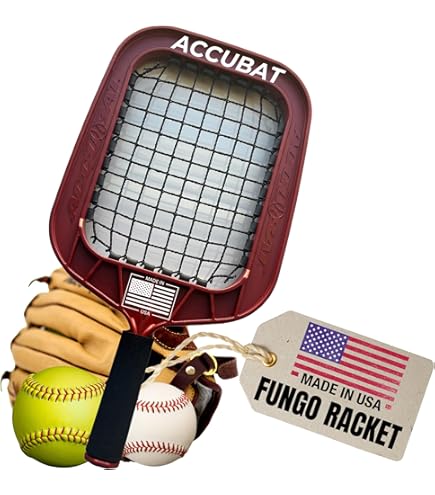 Amazon.com : asics Baseball Bat for Training, S84 Counter